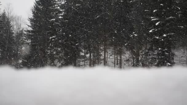 Las Nevadas Deriva Nieve Movimiento Lento Video Caída Copos Nieve — Vídeo de stock