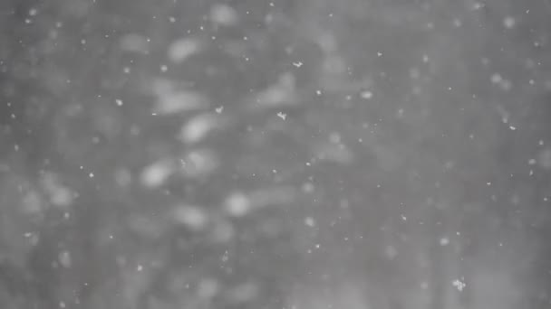 Hóvihar Snow Storm Detail Slow Motion Video Vad Repülő Hópelyhek — Stock videók