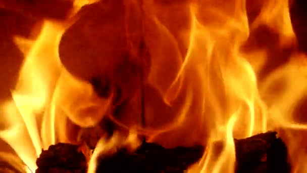 Λεπτομέρεια Από Φλόγες Στο Τζάκι Αργή Κίνηση Video Φυσικό Fire — Αρχείο Βίντεο