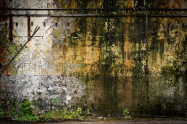 Yaşlanmış beton duvar dokusu. Çatlak, çizik, yosun ve lekeli eski desenli, grunge duvar yüzey deseni..