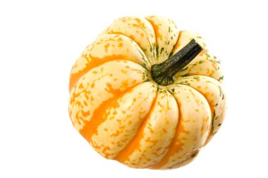 Beyaz arka planda olgun turuncu balkabağı. Taze kabak başı beyaza izole edildi. Stüdyo çekimi. Kapatın. Organik tarım, sağlıklı yiyecekler, BIO videoları, doğa konseptine dönüş..