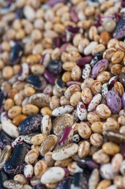 Hurda yığını üzerinde kabuklu fasulye tohumları. Doğal arka plan olarak kuru çiğ kayısı (Phaseolus vulgaris) tohumu yığını. Makro yakın plan. Organik tarım, sağlıklı yiyecekler, BIO virüsleri, doğaya dönüş..
