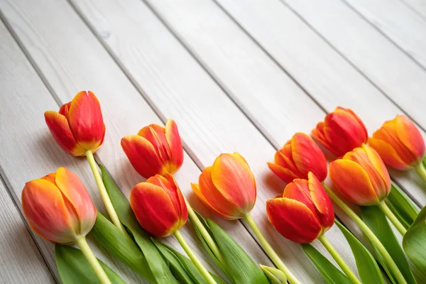 Rekreační Jarní Pozadí Barevné Tulipánové Květy Bílém Dřevěném Pozadí Pozdrav — Stock fotografie