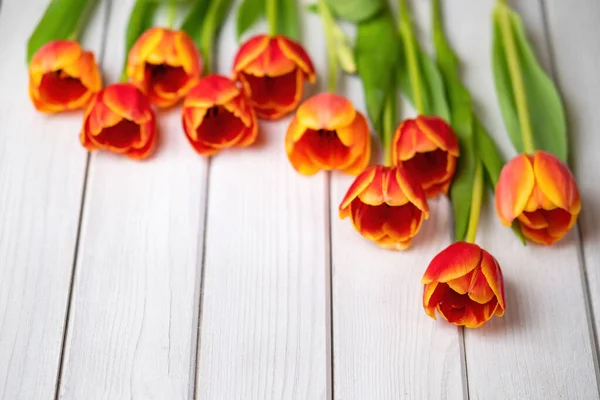 Rekreační Jarní Pozadí Barevné Tulipánové Květy Bílém Dřevěném Pozadí Pozdrav — Stock fotografie