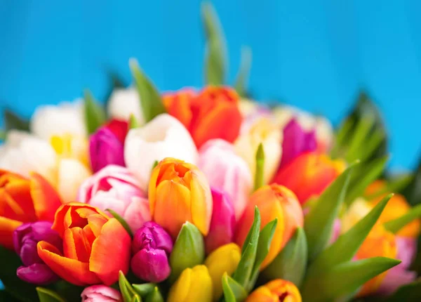 Barevná Kytice Tulipánů Modrém Pozadí Jarní Tulipánové Květiny Pozdrav Kopírovacím — Stock fotografie