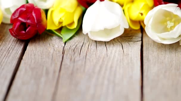 Färgglada Tulpan Blommor Rad Trä Bakgrund Video Vårblommor Bakgrund För — Stockvideo