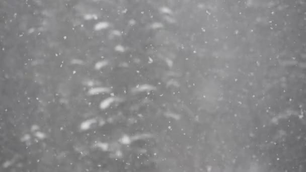 Blizzard Деталь Snow Storm Slow Motion Video Летающие Ветру Снежинки — стоковое видео