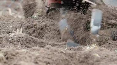 Tiller motoru bahçede çalışıyor. SLOW MOTION HD VIDEO.Cultivator makinesinde. Baharda ekili alanda. Bıçakları yere atmak için çok yakın plan. Modern tarım, teknoloji tarımı. Çeyrek hız.