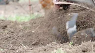 Tiller motoru bahçede çalışıyor. SLOW MOTION HD VIDEO.Cultivator makinesinde. Baharda ekili alanda. Bıçakları yere atmak için çok yakın plan. Modern tarım, teknoloji tarımı. Çeyrek hız.