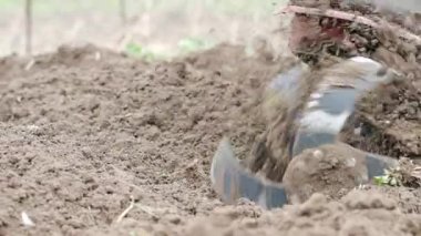 Tiller motoru bahçede çalışıyor. SLOW MOTION HD VIDEO.Cultivator makinesinde. Baharda ekili alanda. Bıçakları yere atmak için çok yakın plan. Modern tarım, teknoloji tarımı. Çeyrek hız.