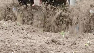 Tiller motoru bahçede çalışıyor. SLOW MOTION HD VIDEO.Cultivator makinesinde. Baharda ekili alanda. Bıçakları yere atmak için çok yakın plan. Modern tarım, teknoloji tarımı. Çeyrek hız.