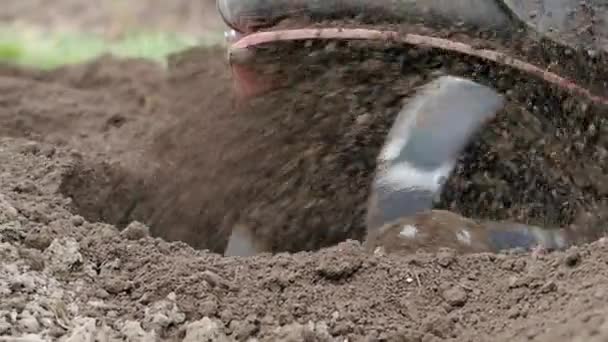 スローモーションHdビデオで庭で働くティラーエンジン 春に畑を耕す栽培機ブレードを捨てる土壌の極端なクローズアップ 現代農業技術農業 四分の一速度 — ストック動画