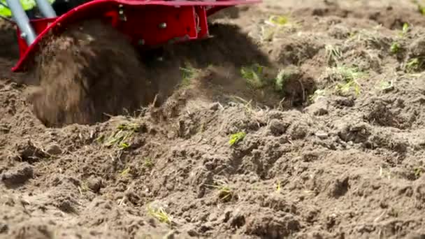 4Kビデオで庭で働くティラーエンジン春に畑を耕す栽培機ブレードを捨てる土壌の極端なクローズアップ 現代農業技術農業 — ストック動画