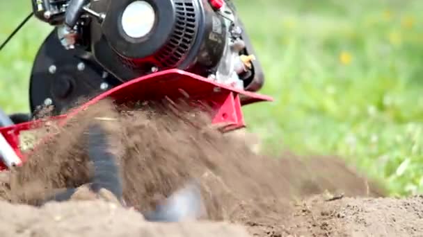 Motor Tiller Trabalhando Jardim Video Cultivator Máquina Cultivando Campo Primavera — Vídeo de Stock