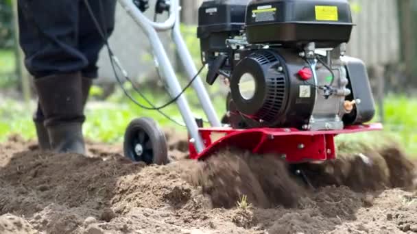 Video Bahçe Dümeni Motoruyla Çalışan Adam Tarım Makineleri Baharda Tarla — Stok video