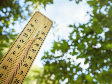 Ağaçların gölgesinde güneşli bir günde yüksek sıcaklığı 34 derecenin üzerinde gösteren kırmızı ölçüm sıvısı olan ahşap termometre. Sıcak hava dalgası, sıcak hava, küresel ısınma, iklim değişikliği kavramı.