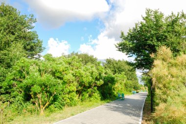 Sahil park parça. Crimea
