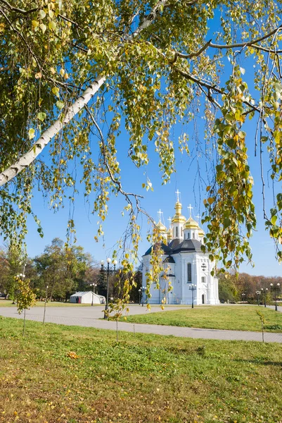 聖カトリーヌ教会、チェルニゴフ、ウクライナ — ストック写真