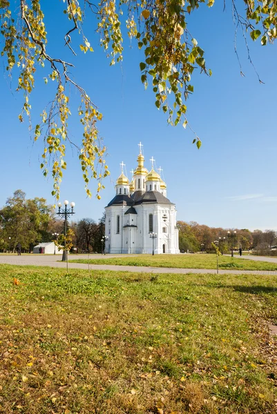 Церковь Екатерины, Чернигов, Украина — стоковое фото