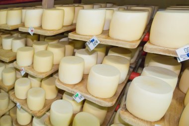 Ambar süt raflara peynirler yalan