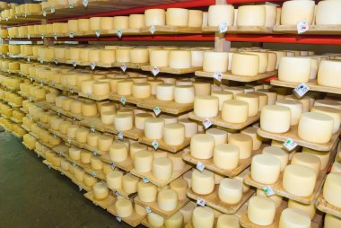 Ambar süt raflara peynirler yalan