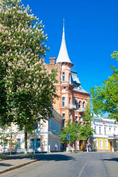 Kiev, våren. Yaroslav Val Street — Stockfoto