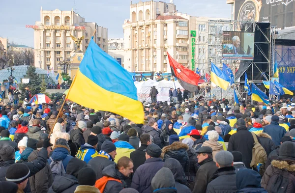 Kiev (Kiev), Ukrayna - 3 Aralık 2013: ralli için AB Derneği Kiev 