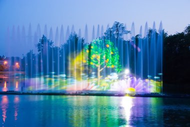 Vinnitsa, Ukrayna-Mayıs 27, 2012:Fountain RoHS - Vinnitsa içinde inşa.