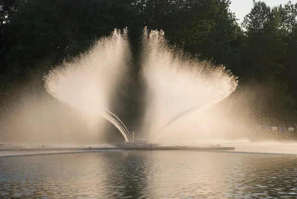 Vinnitsa, Ukrayna-Mayıs 27, 2012:Fountain RoHS - Vi inşa