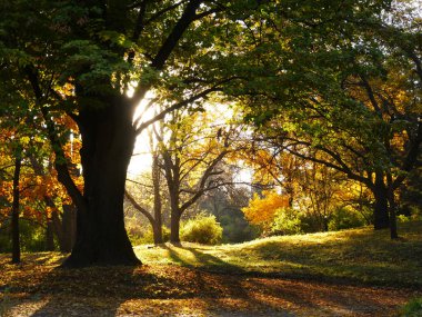 Sonbahar renklerinde doğa ve şehir.