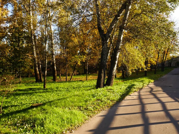 Natur Und Stadt Herbstlichen Farben — Stockfoto