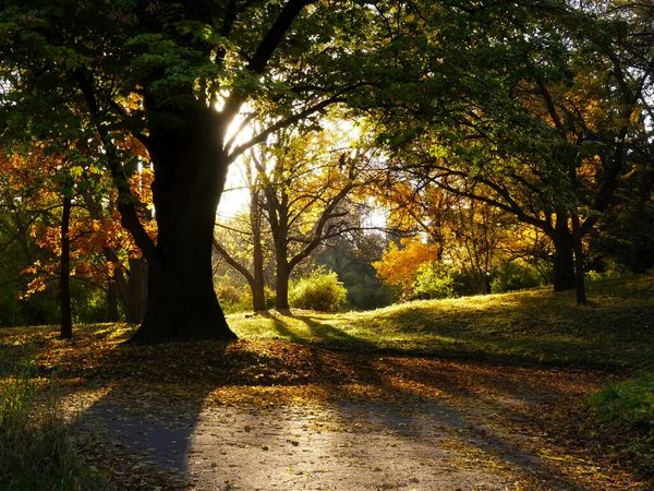 Natur Und Stadt Herbstlichen Farben — Stockfoto