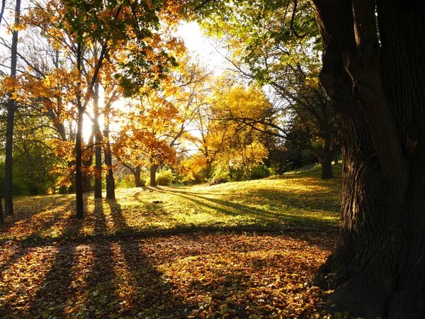 Natur Und Stadt Herbstlichen Farben — Stockfoto