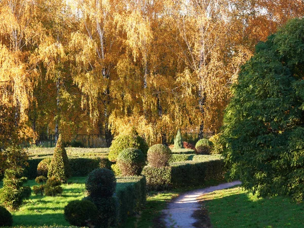 Natur Und Stadt Herbstlichen Farben — Stockfoto