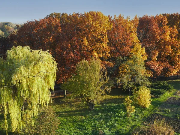 Natur Und Stadt Herbstlichen Farben — Stockfoto