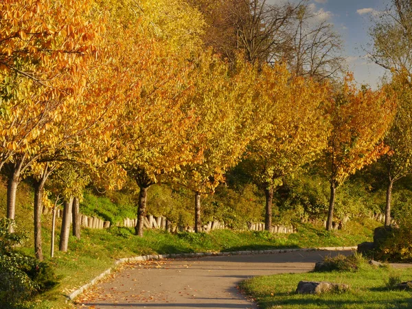 Natur Und Stadt Herbstlichen Farben — Stockfoto