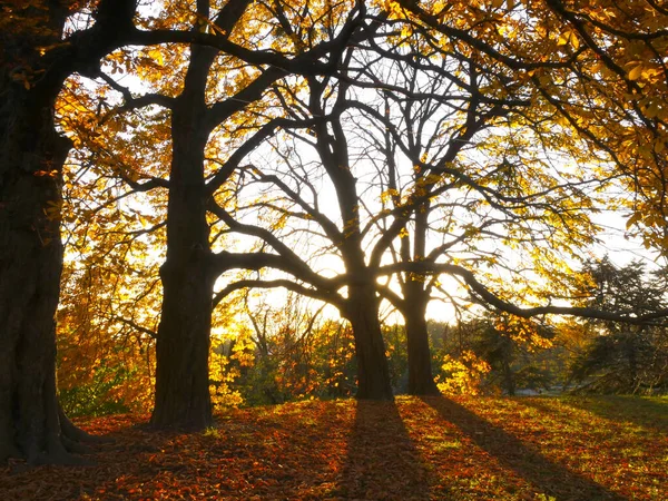Natur Und Stadt Herbstlichen Farben — Stockfoto