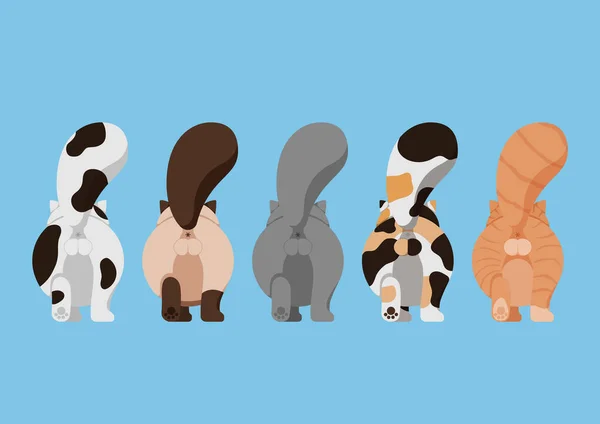 Set Variety Cute Cat Butt Cartoon Character Design — Vector de stock