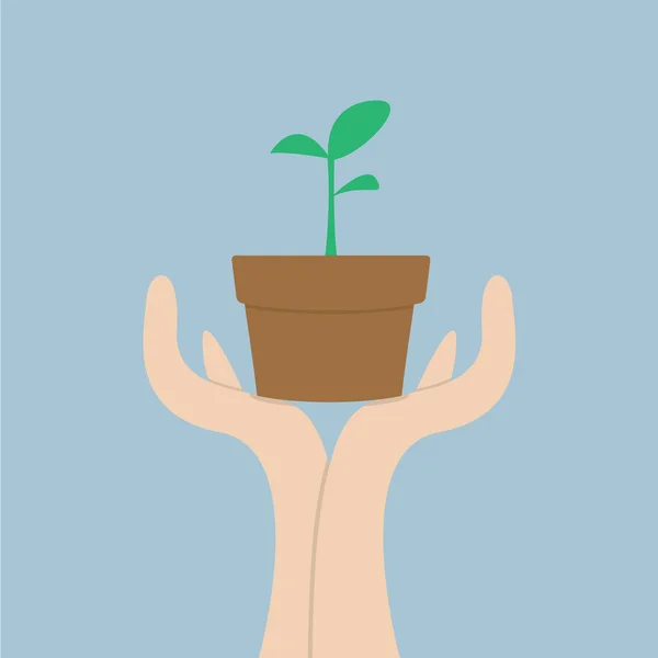 Mãos segurando pequena planta, conceito de crescimento —  Vetores de Stock