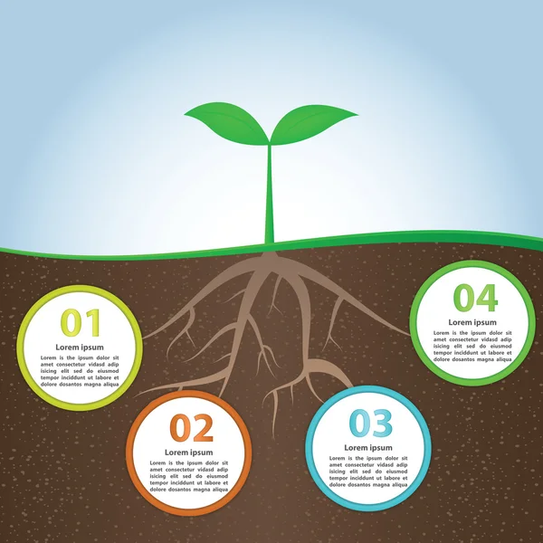 Plantilla de diseño de fondo de planta y raíz Infografía — Archivo Imágenes Vectoriales