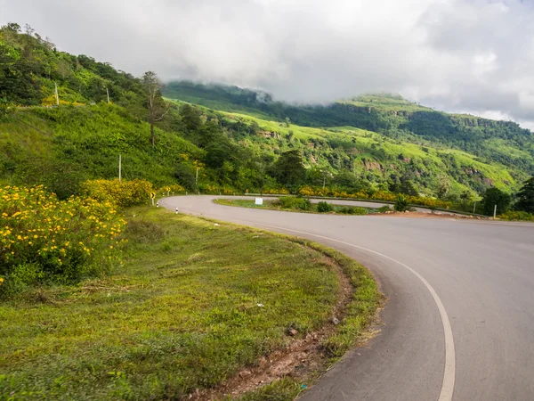 Phu tup berk güzel manzara noktada