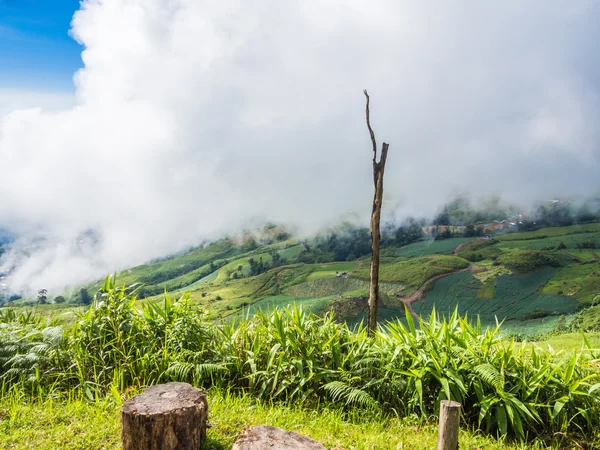 The beautiful view point at Phu tup berk — Stock Photo, Image