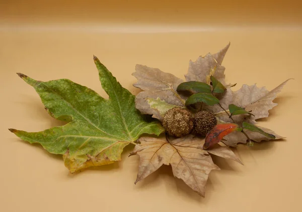 Een Achtergrond Van Herfstbladeren — Stockfoto