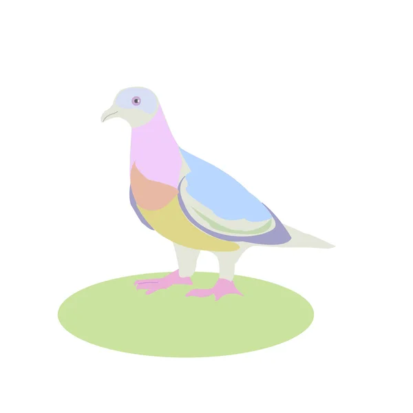Голуб, векторна ілюстрація, птах, що живе поруч з чоловіком — стоковий вектор