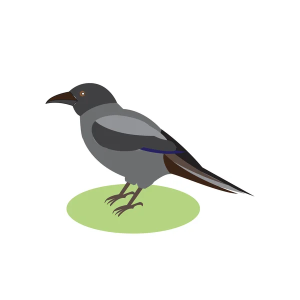 Schwarzer Rabe, ein magischer Vogel, Vektorillustration einer schwarzen Krähe — Stockvektor