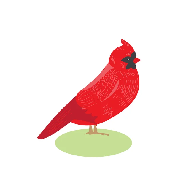 Птах червоний кардинал Векторна ілюстрація красивого птаха червоний кардинал — стоковий вектор