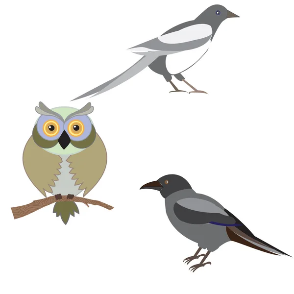 Ilustración vectorial de un conjunto de imágenes de aves — Vector de stock