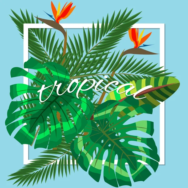 Tropické listy. Květinový design pozadí — Stockový vektor