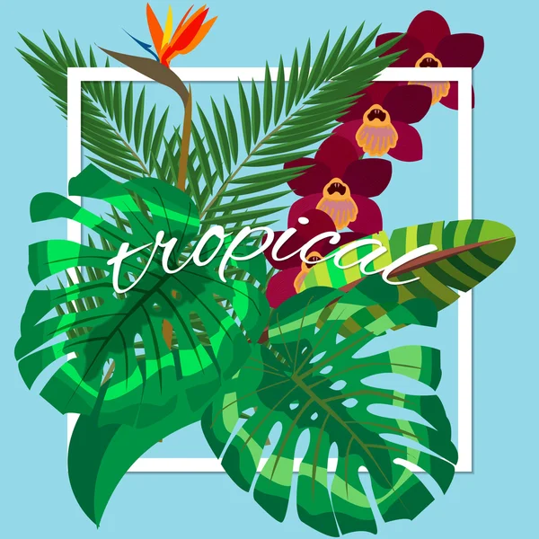 Feuilles tropicales. Arrière-plan design floral — Image vectorielle