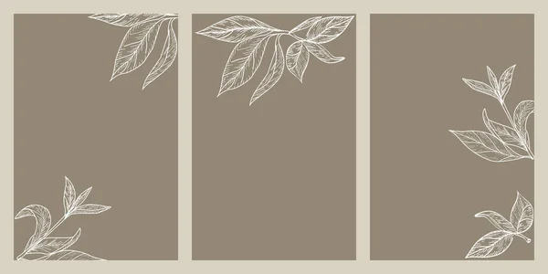 Cartões Florais Estéticos Universais Criativos Mão Desenhada Formas Abstratas Textura — Vetor de Stock